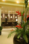 Patong Paragon Hotel 